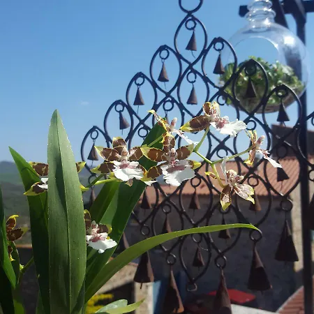 La Casa Del Sol *